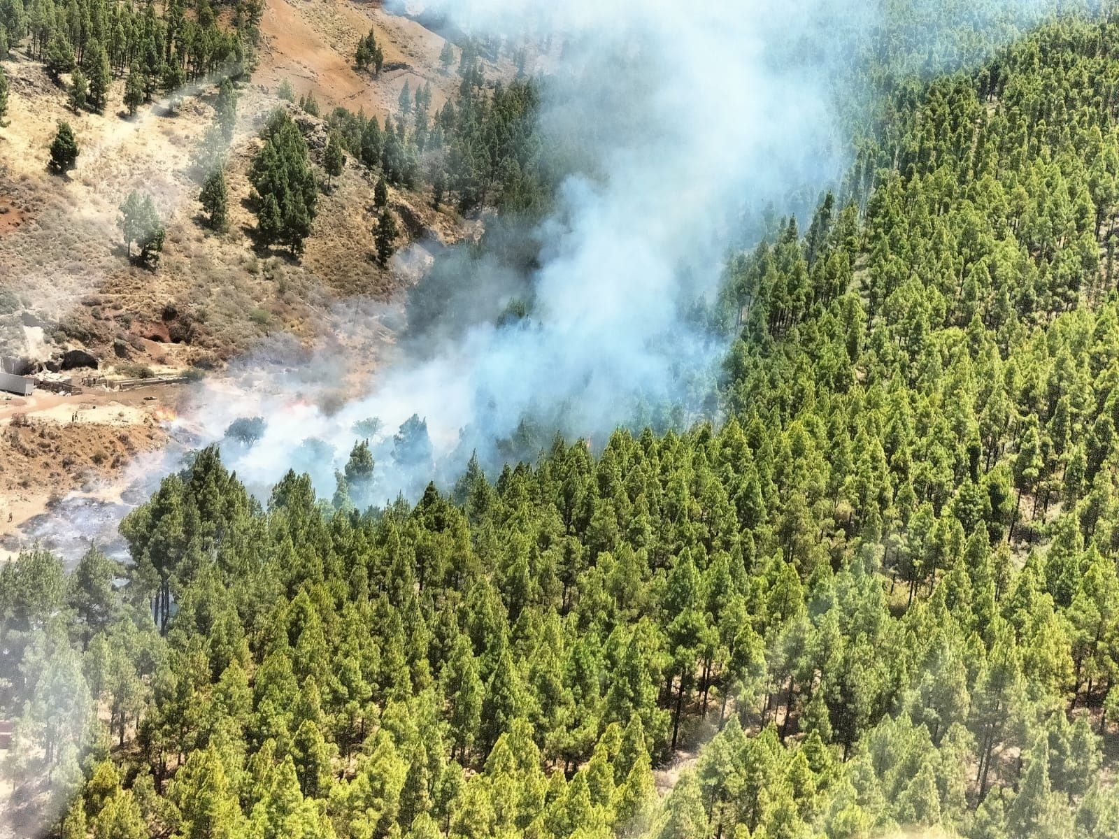 El incendio de Gran Canaria