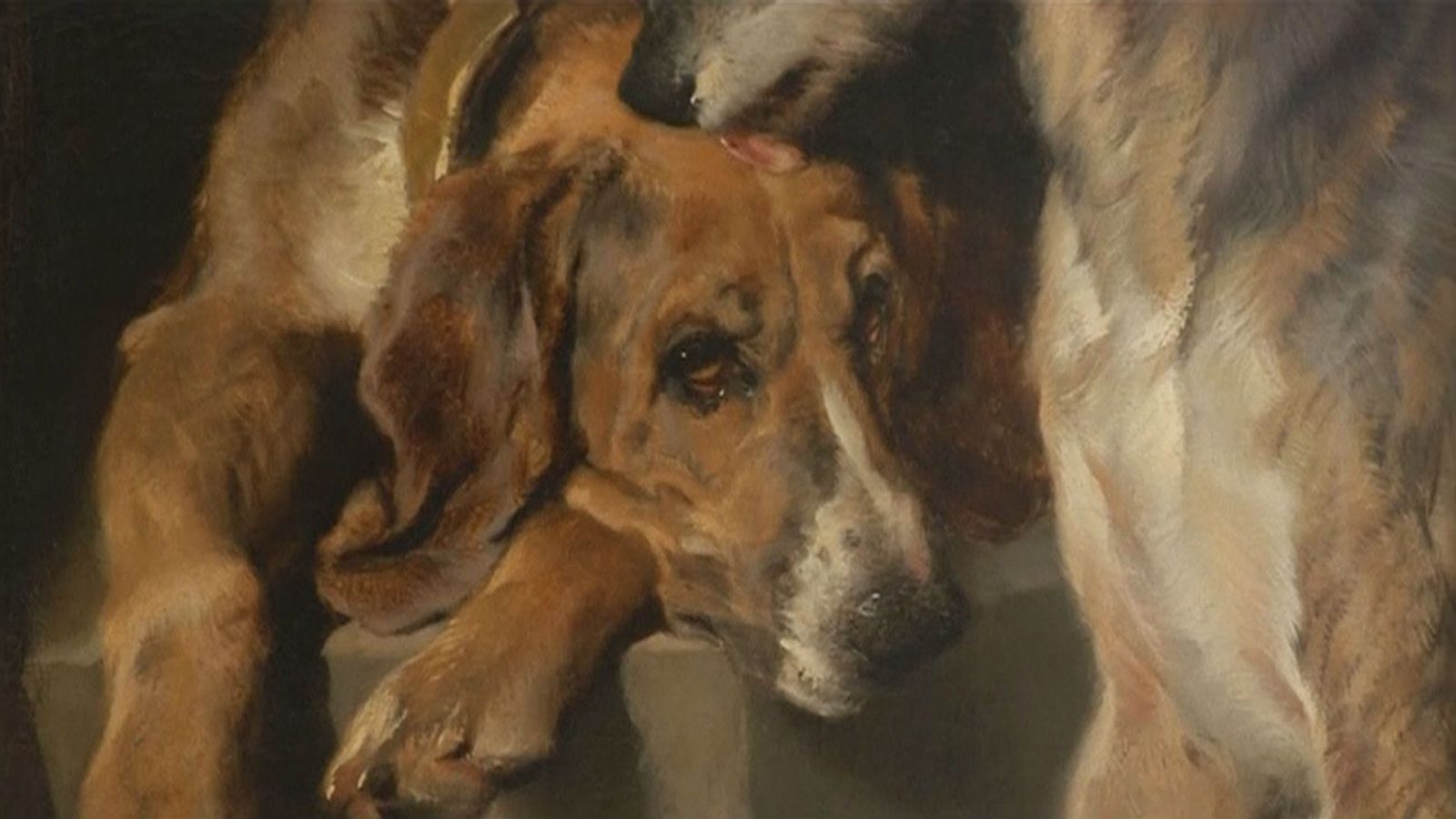 Abre en Nueva York el museo del perro