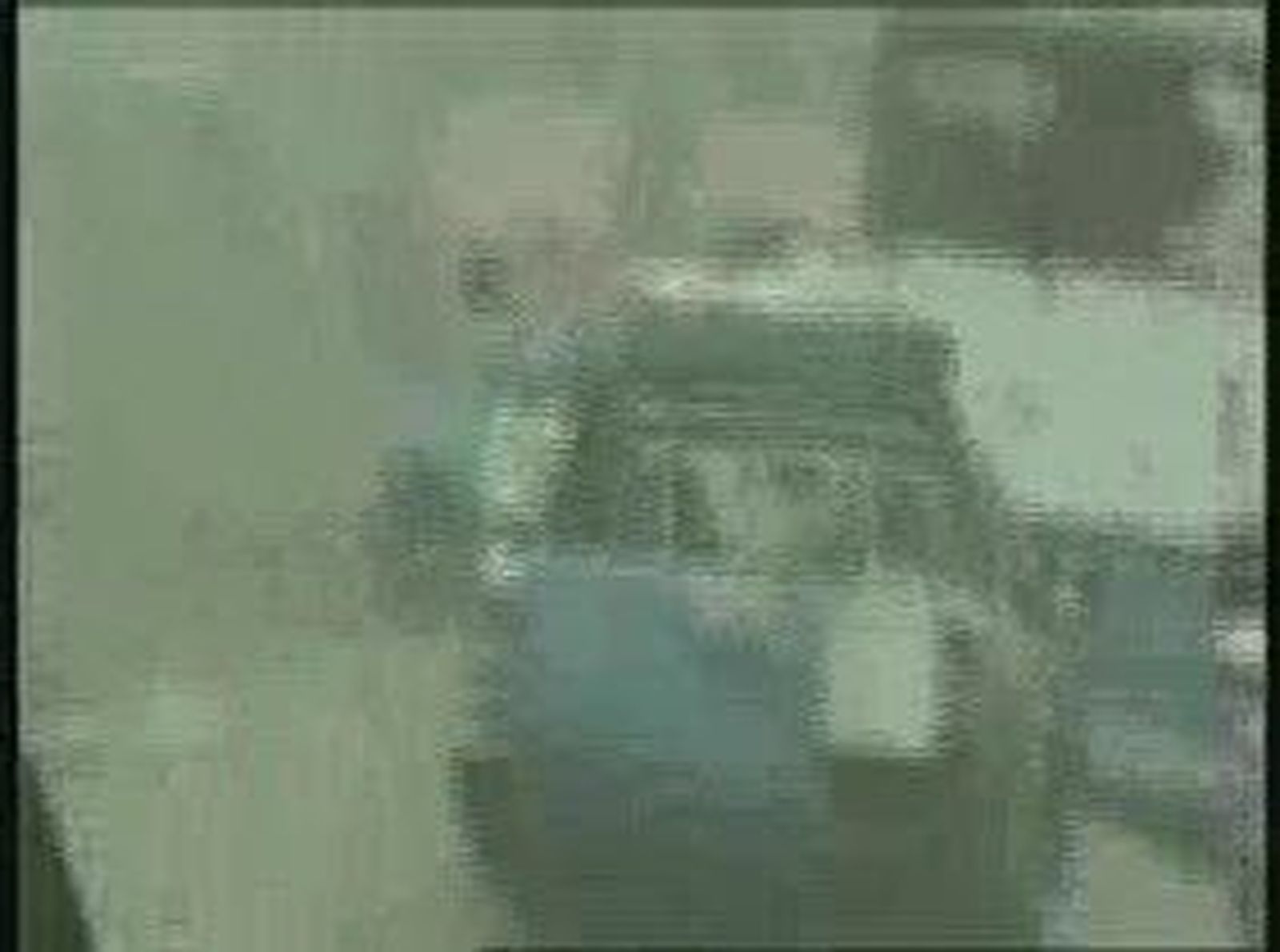 cochebomba_2010919V0.wmv