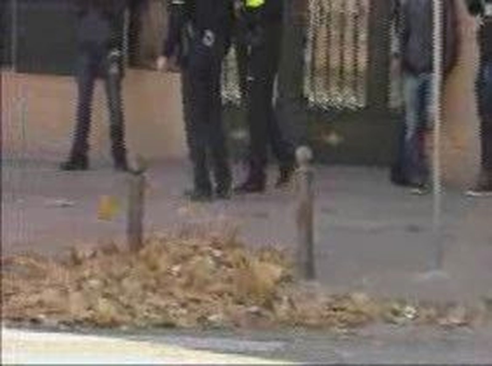 Mostoles_20101111V0.wmv