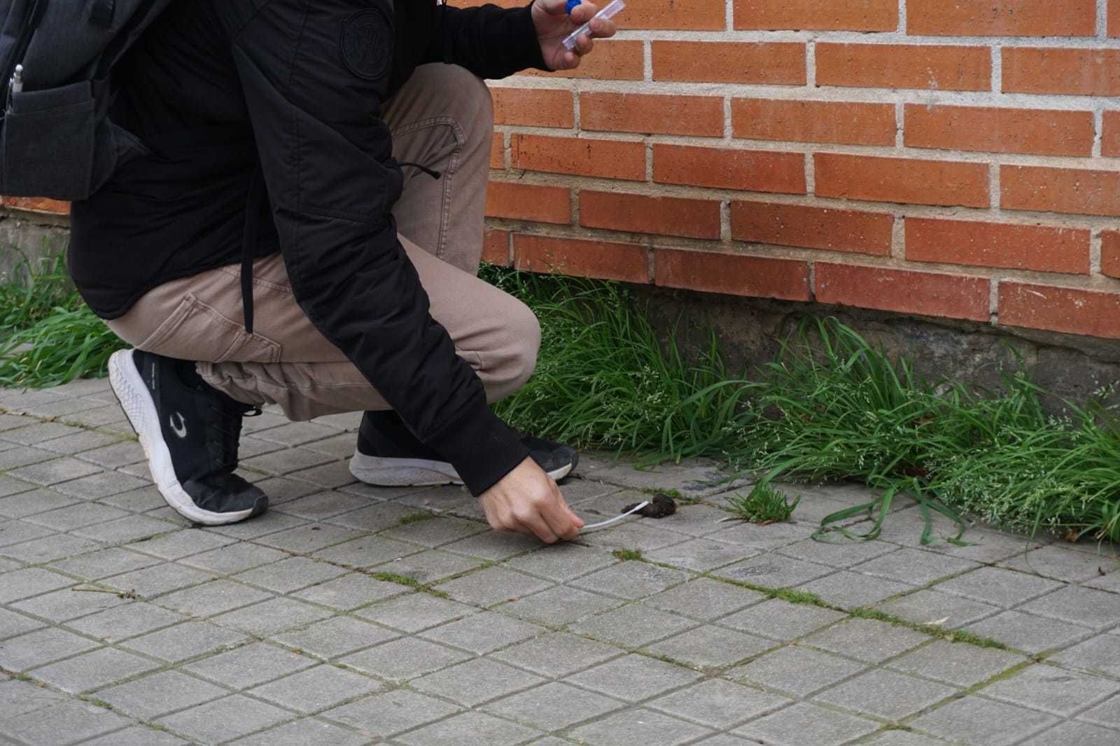 Toma de muestras de heces caninas en una calle de Alcalá de Henares