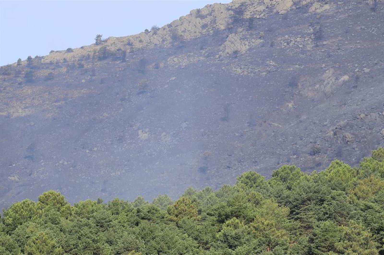 Terreno quemado en el incendio forestal de Robledo de Chavela