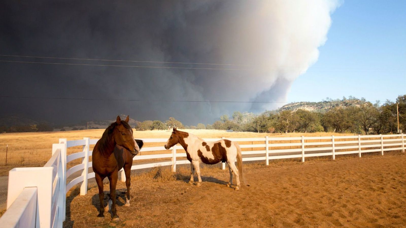 Lady Gaga, Kardashian, Del Toro y otros famosos, evacuados por el fuego de Malibú