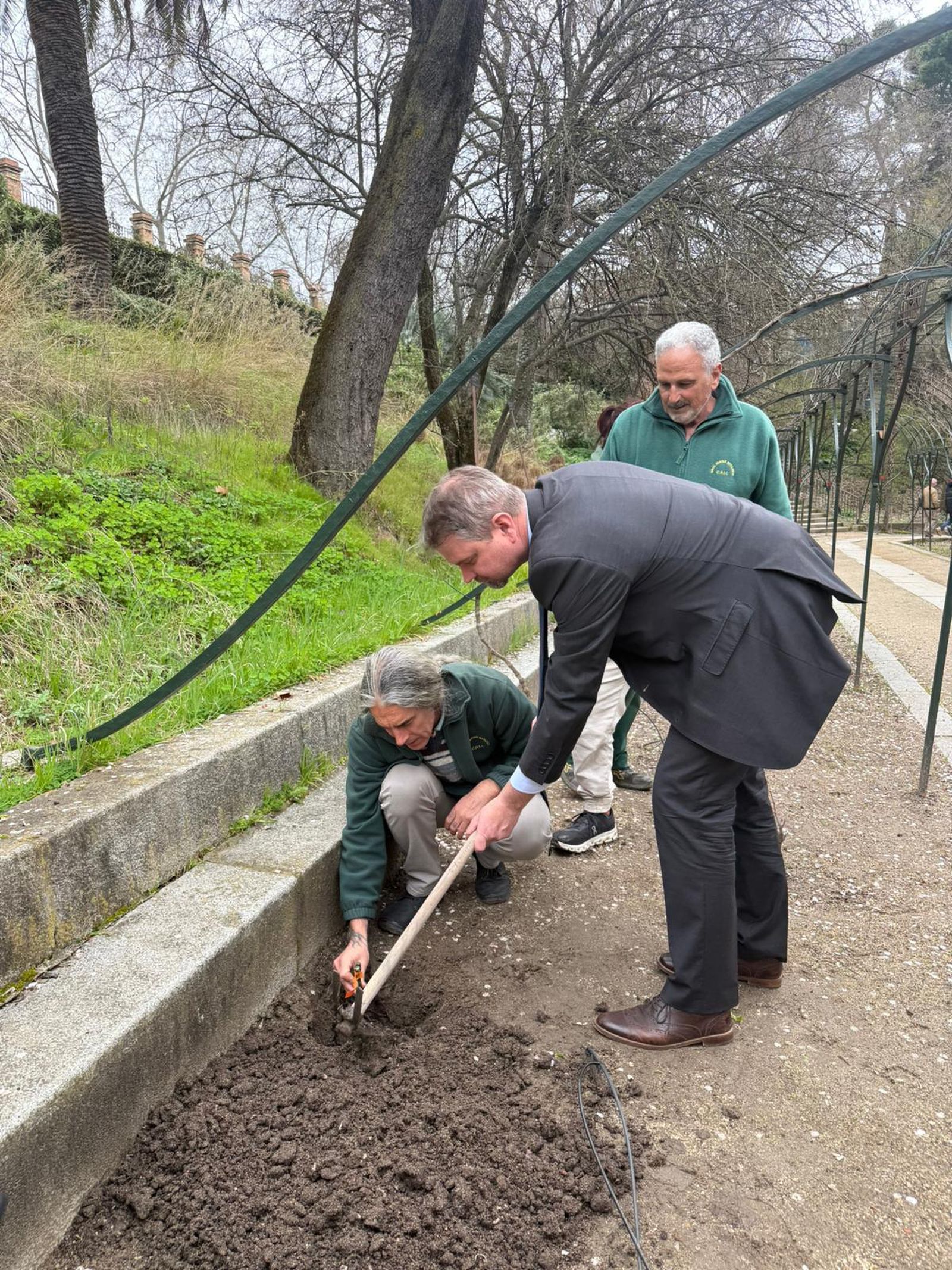 El embajador de Eslovenia en España y técnicos del Real Jardín Botánico, durante la plantación