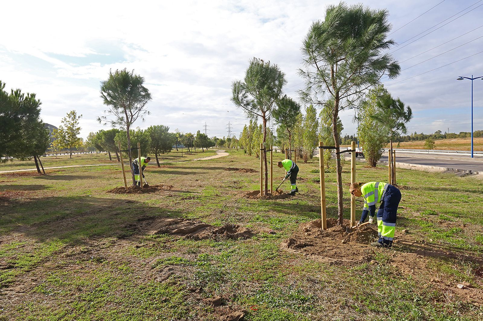 Trabajos de reforestación en Leganés
