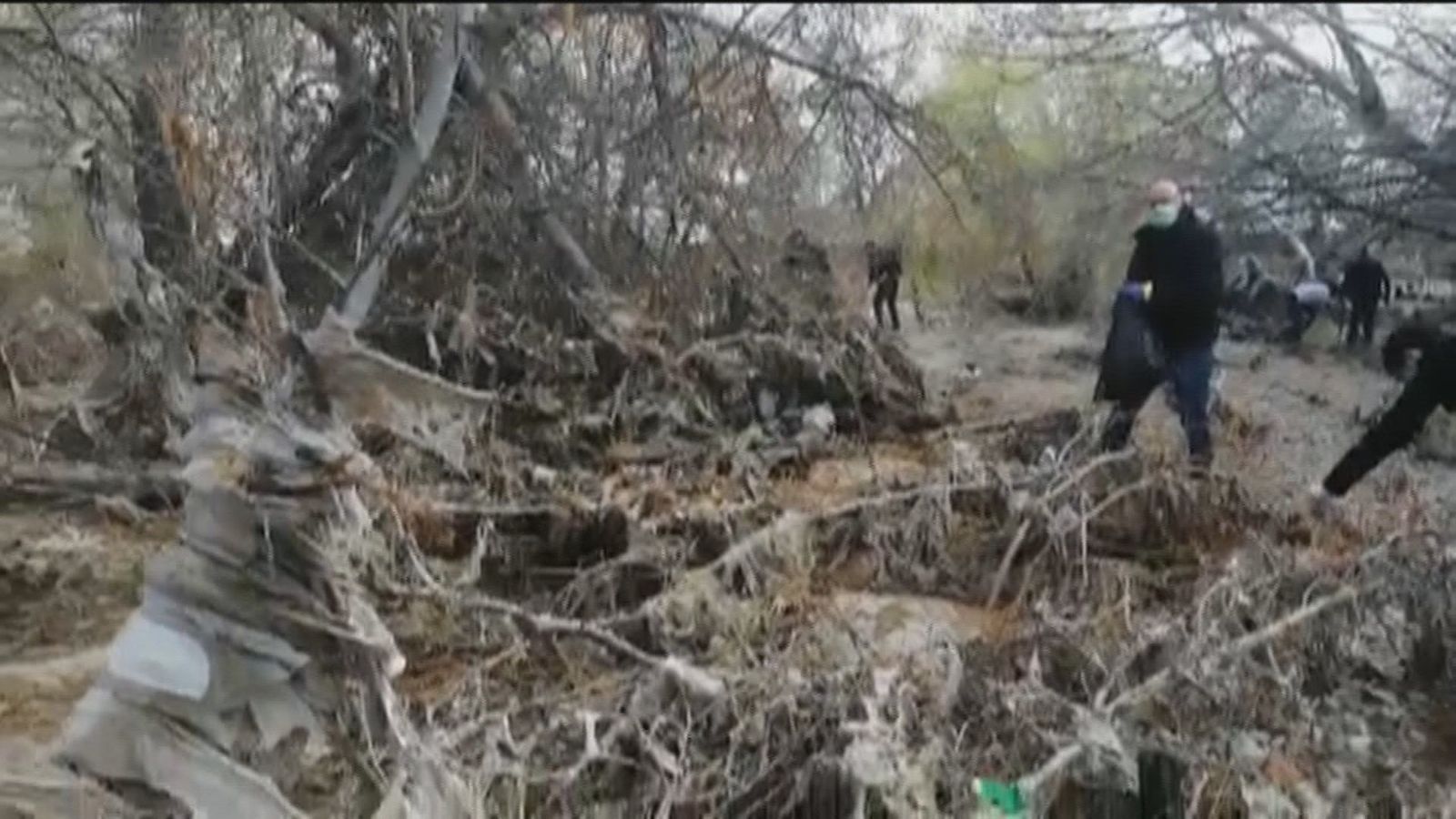 Voluntarios limpian el río Jarama atestado de toallitas que asfixian a aves, peces y árboles