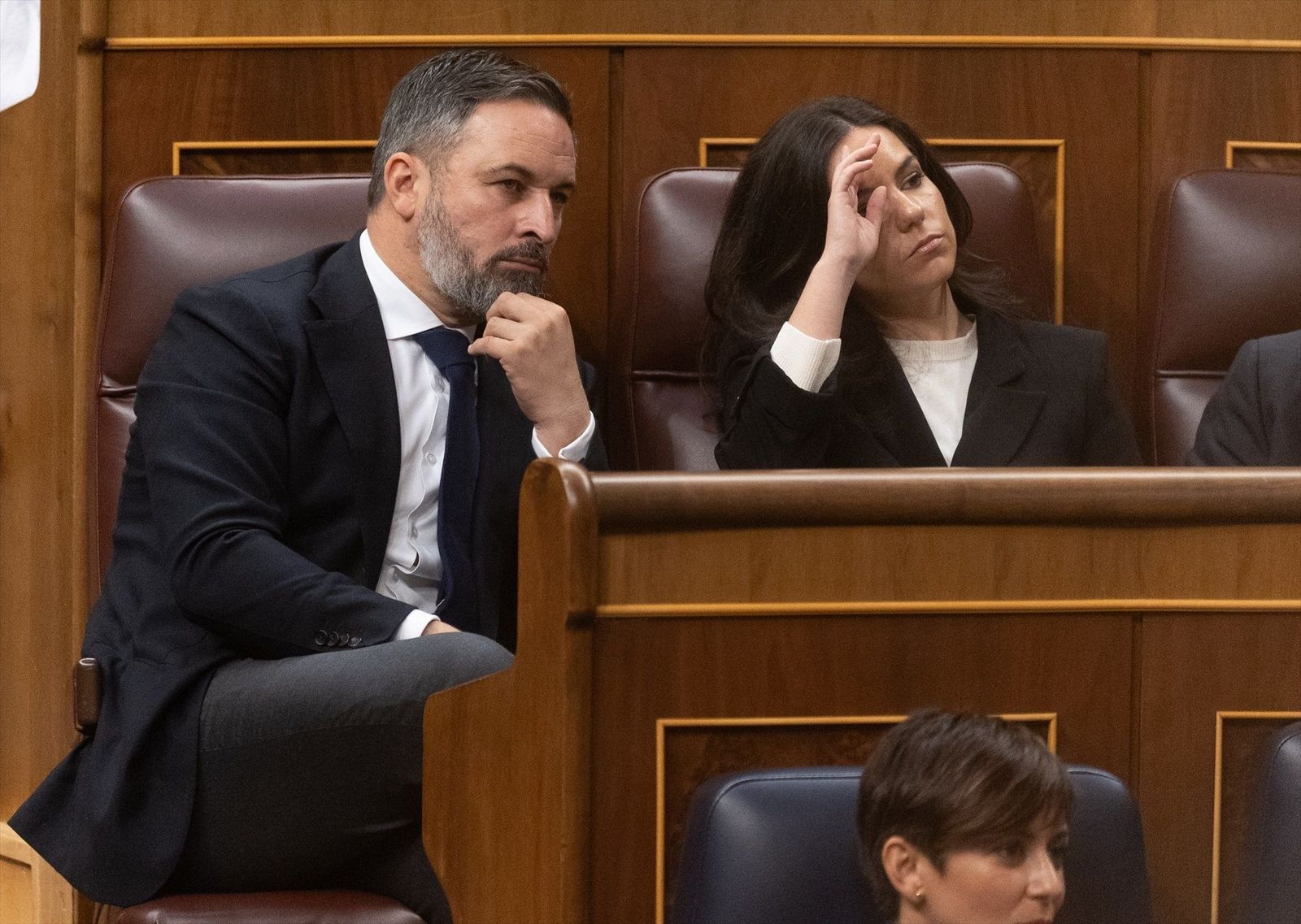 Vox tacha de "ocurrencia" la posibilidad de que el PP estudie pedirle que no concurra en todas las provincias