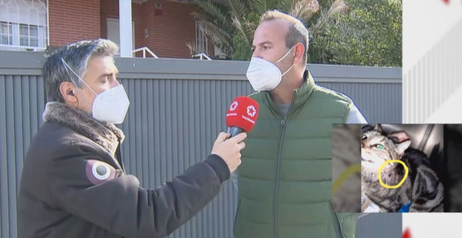 Los vecinos se movilizan para buscar al hombre que dispara a animales en Valdemorillo
