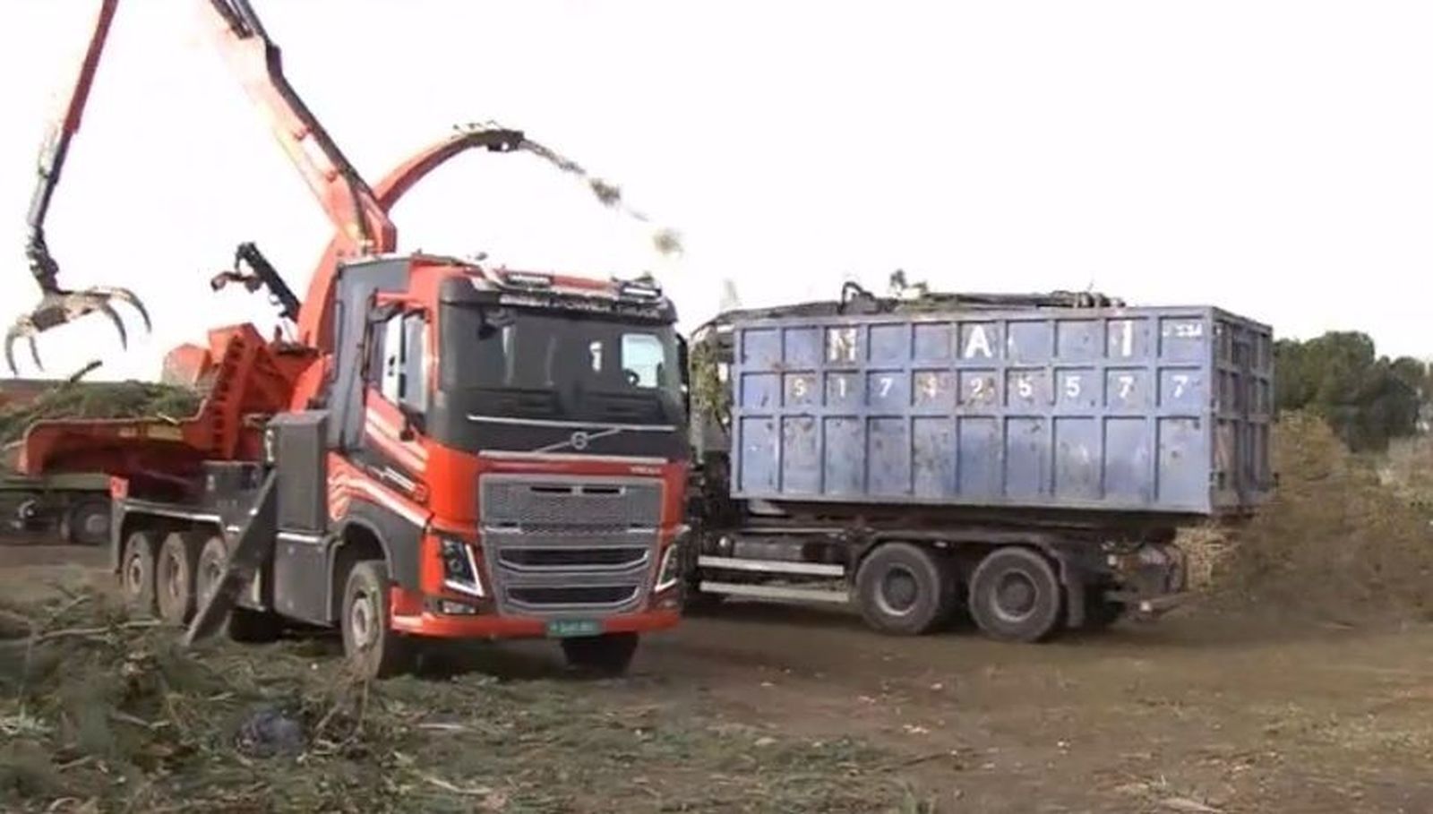 Boadilla tritura los árboles caídos por el temporal para convertirlos en biomasa