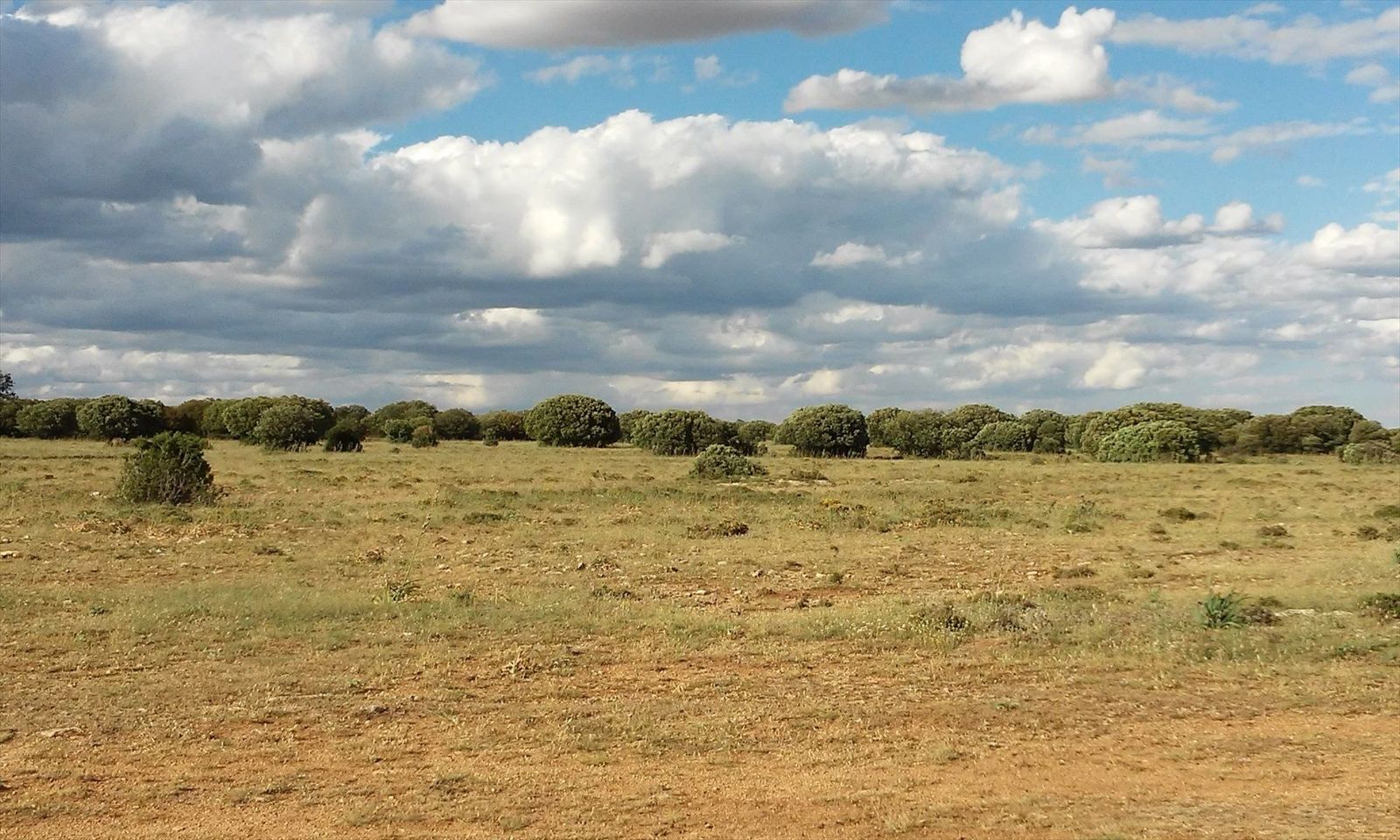 El clima árido avanza en España a un ritmo de 1.500 kilómetros anuales