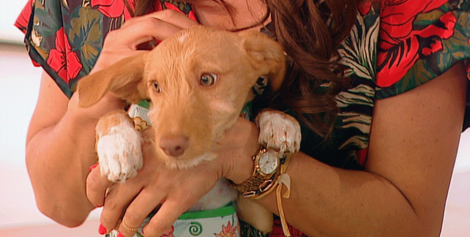 Un hogar para Hope y Salma