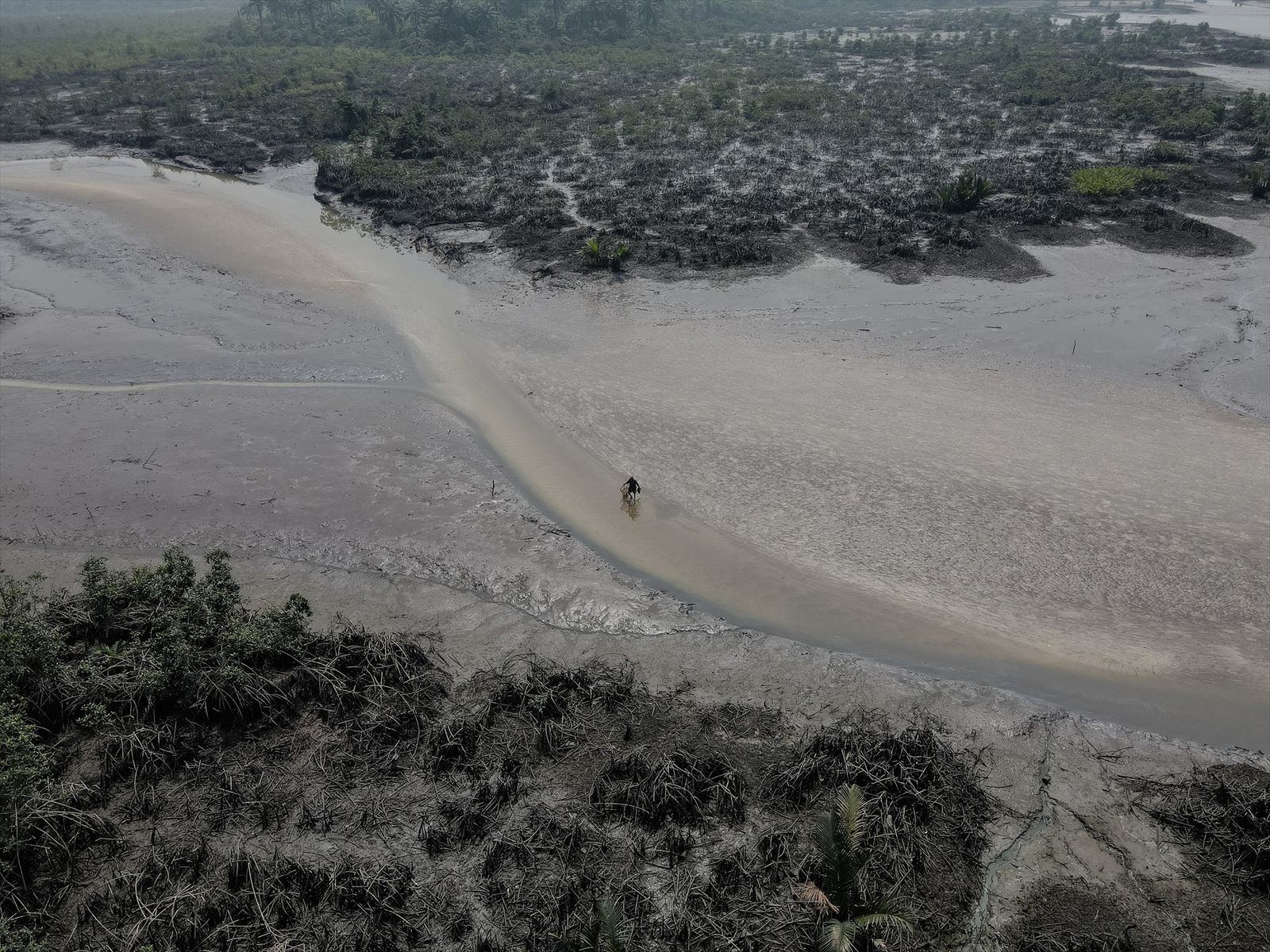 Delta del río Níger