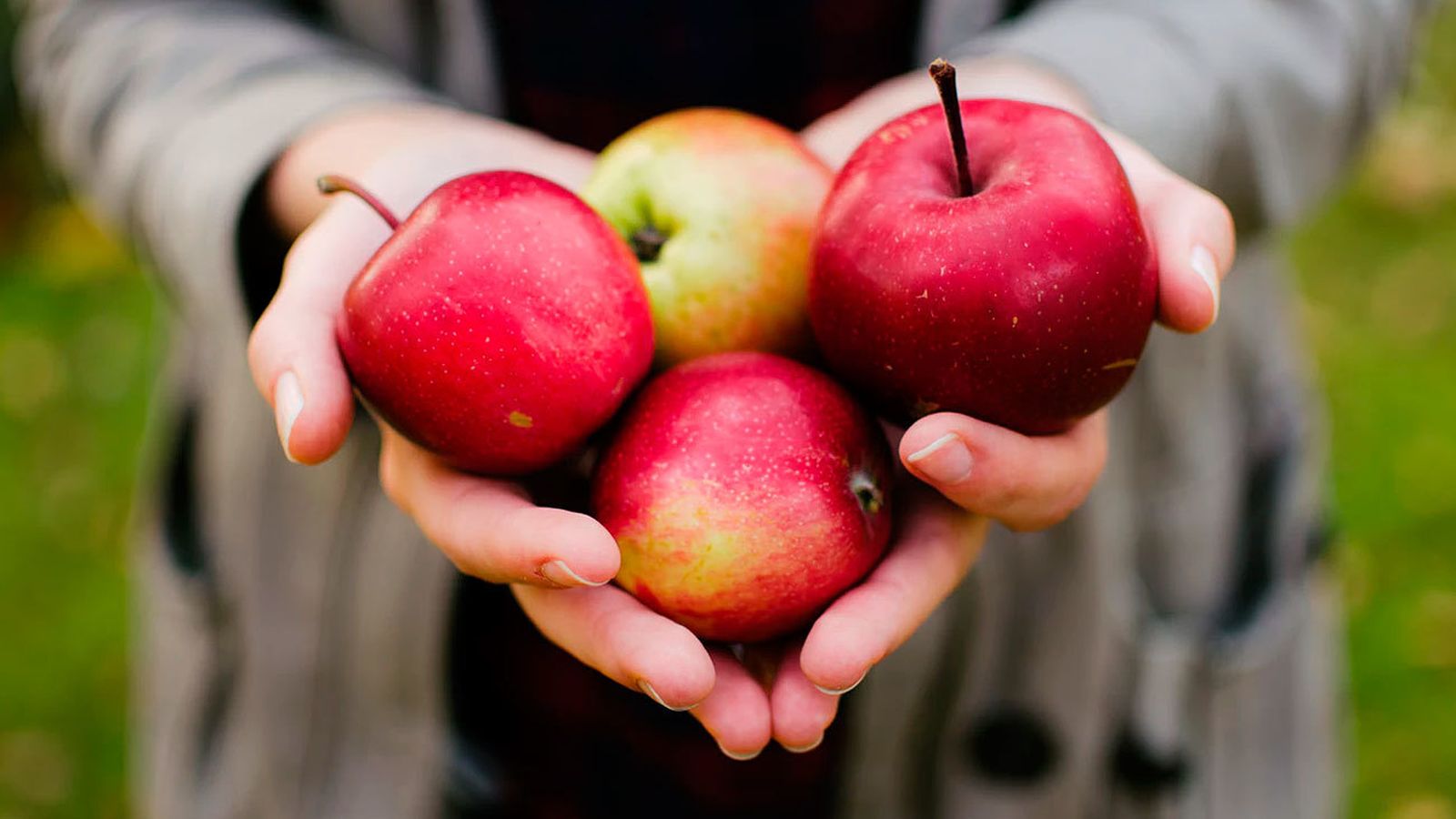 Manzanas