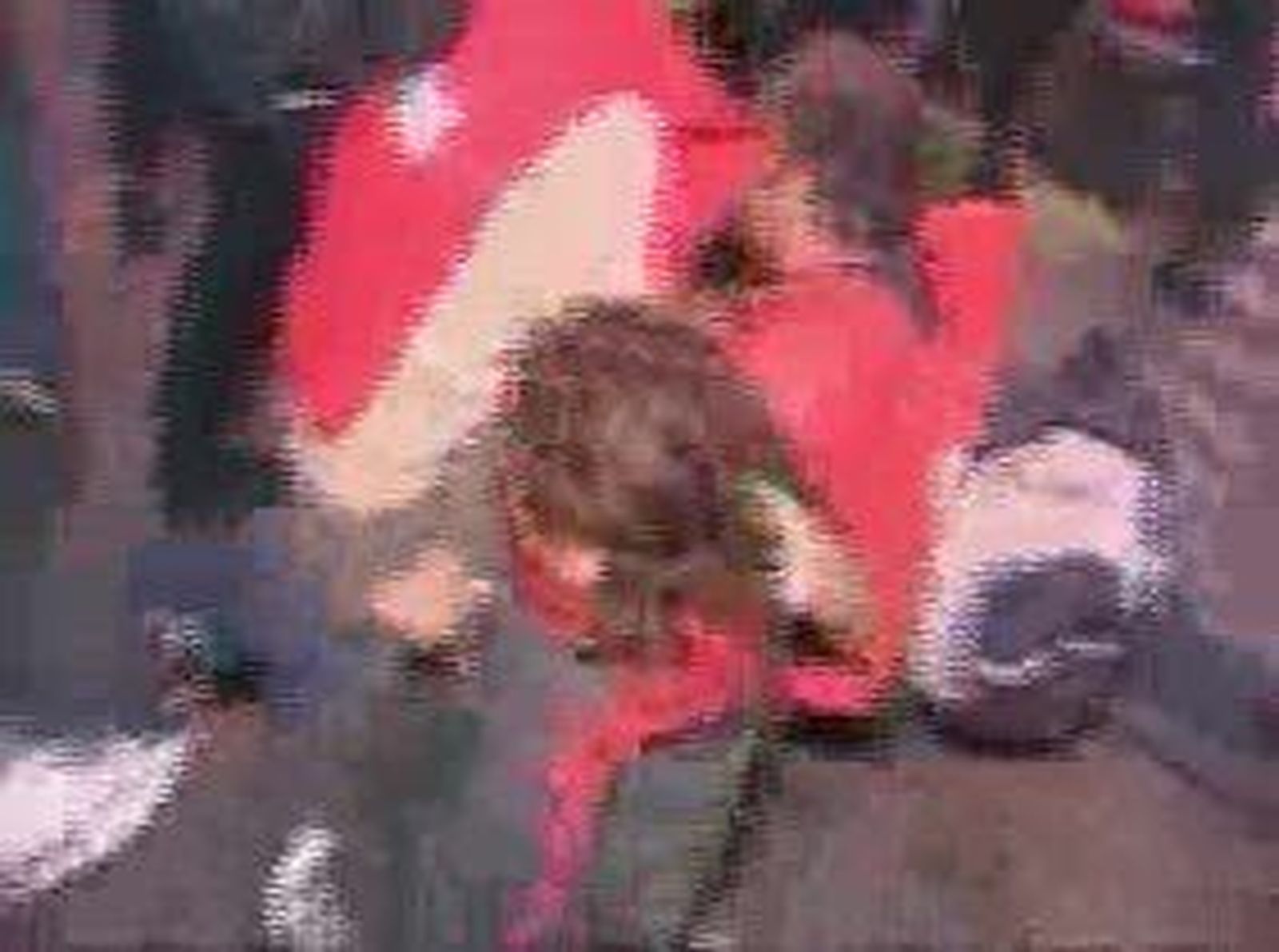 piquetes1_2010930V0.wmv