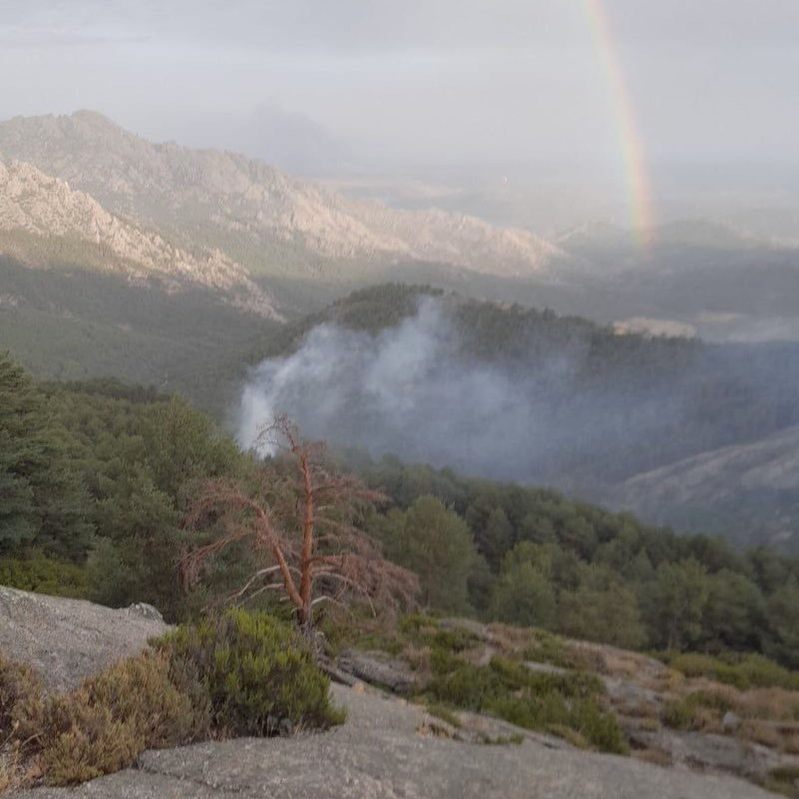 Tres de cada cuatro incendios forestales en Madrid se quedan en conatos