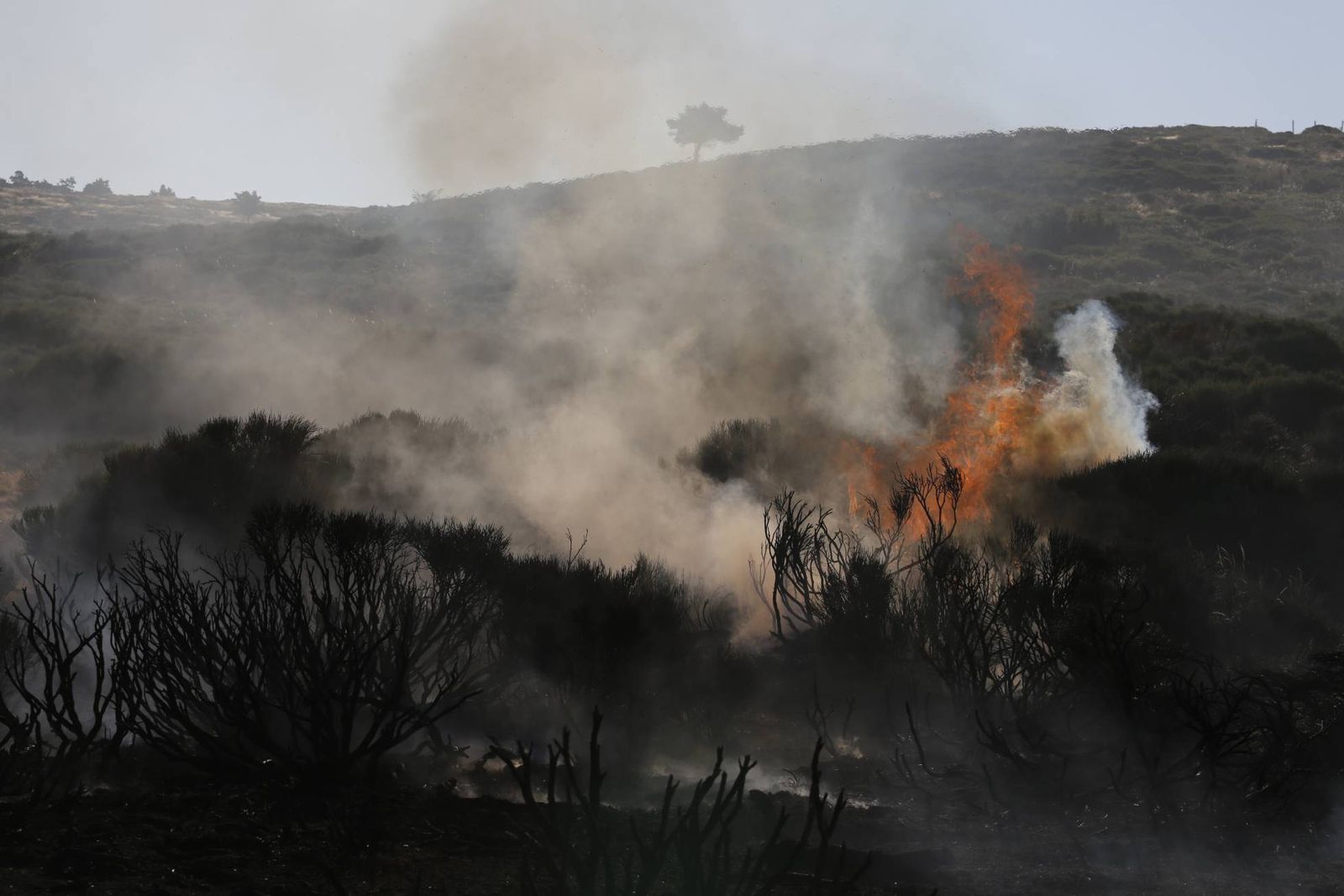 Última hora de los incendios