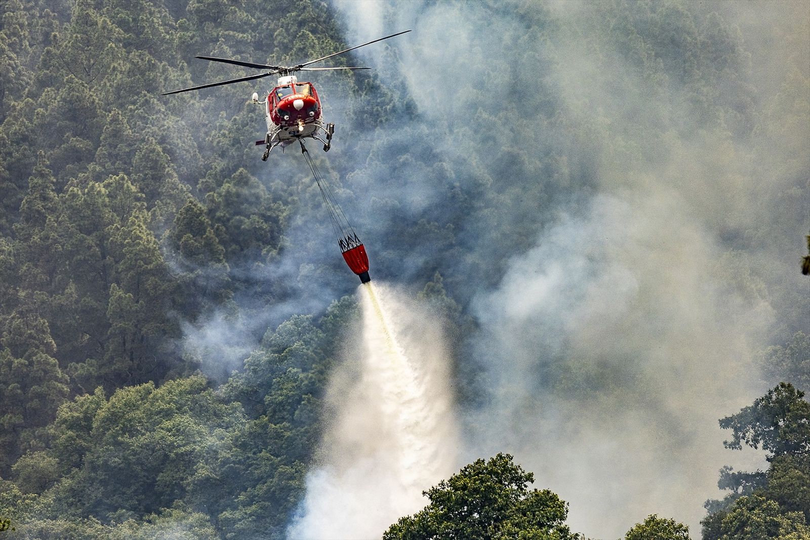 Hidroavión trabajando en el incendio de Tenerife