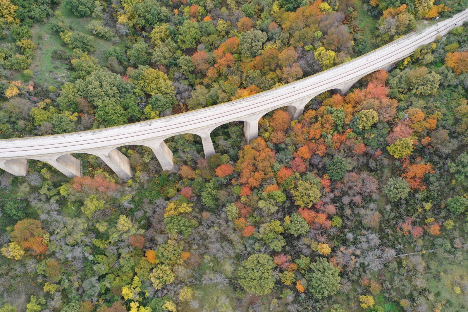 Puente ferroviario sobre el bosque de La Acebeda, en la Sierra Norte de Madrid