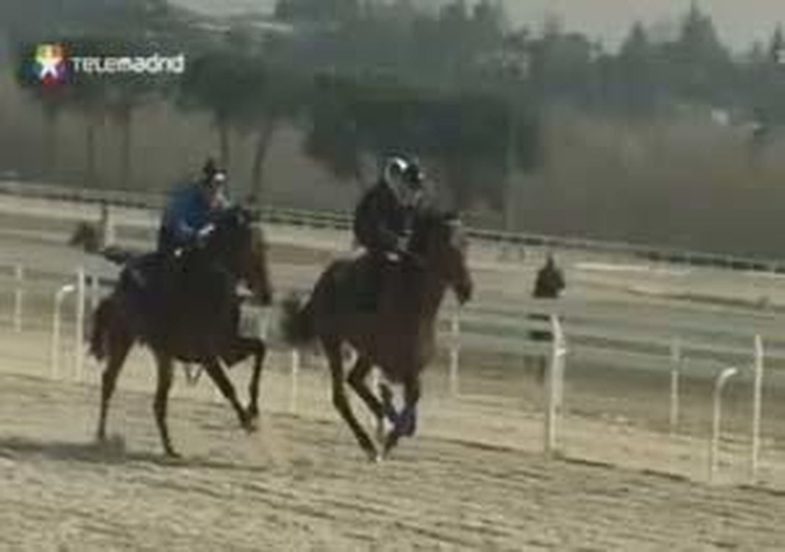 Vuelen las carreras al Hipódromo de la Zarzuela