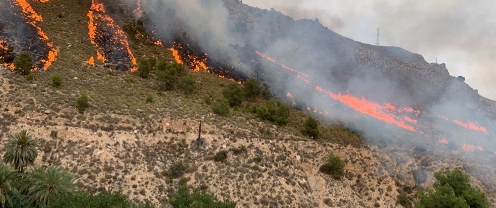Incendio forestal en Ojós, Murcia