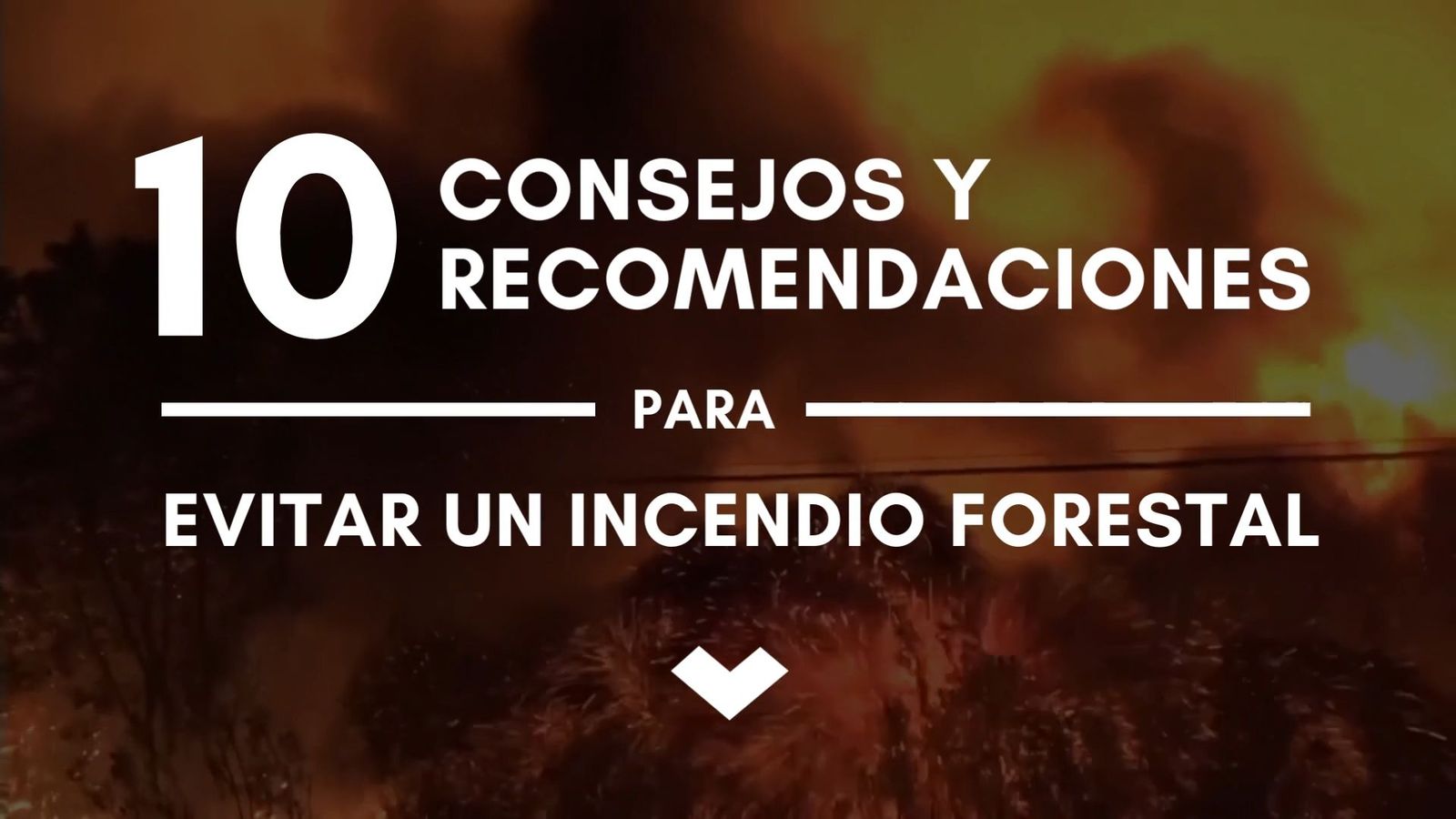 Cómo prevenir un incendio forestal