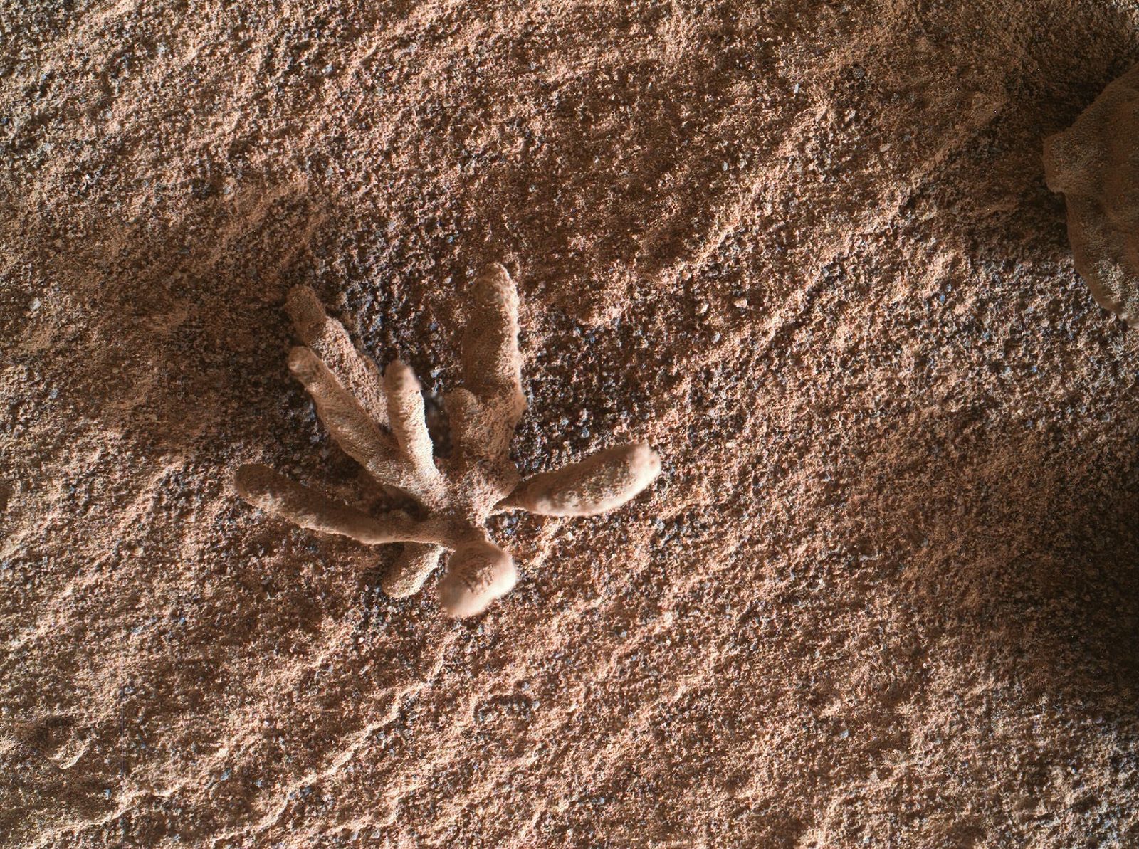 La flor de cristales hallada por 'Curiosity' en Marte