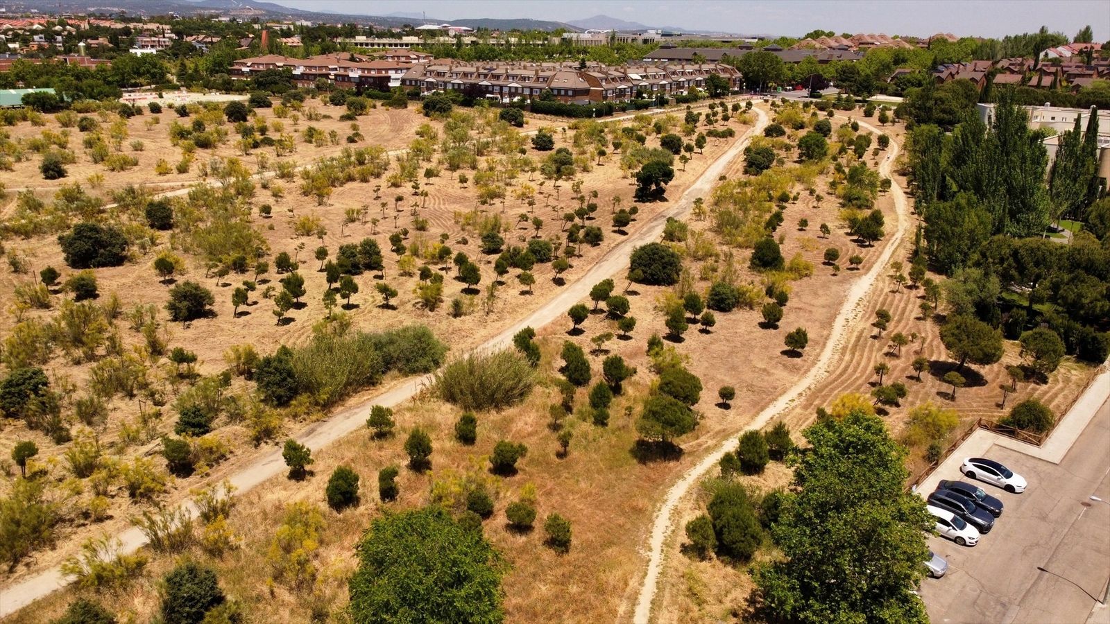 Repoblaciones en el municipio de Las Rozas