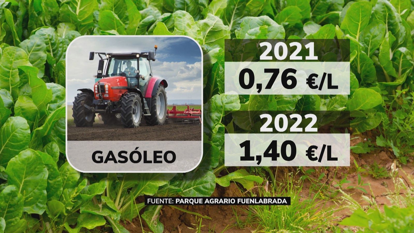 Los agricultores españoles, con la soga al cuello por la brutal escalada de precios