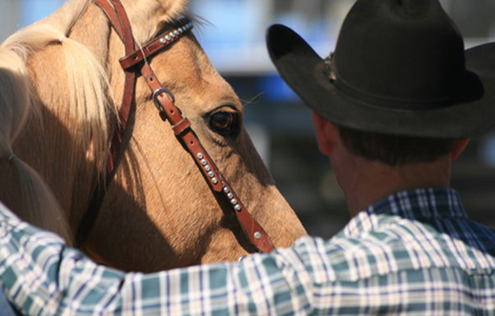 cowboy_470