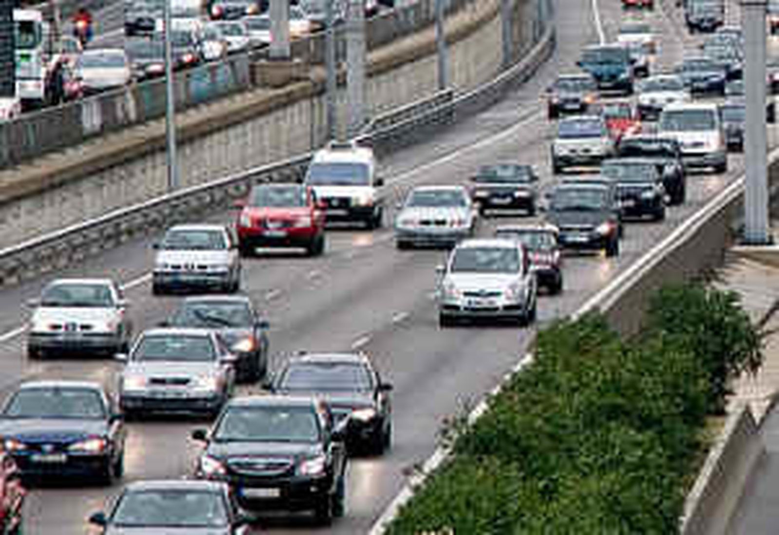 trafico31