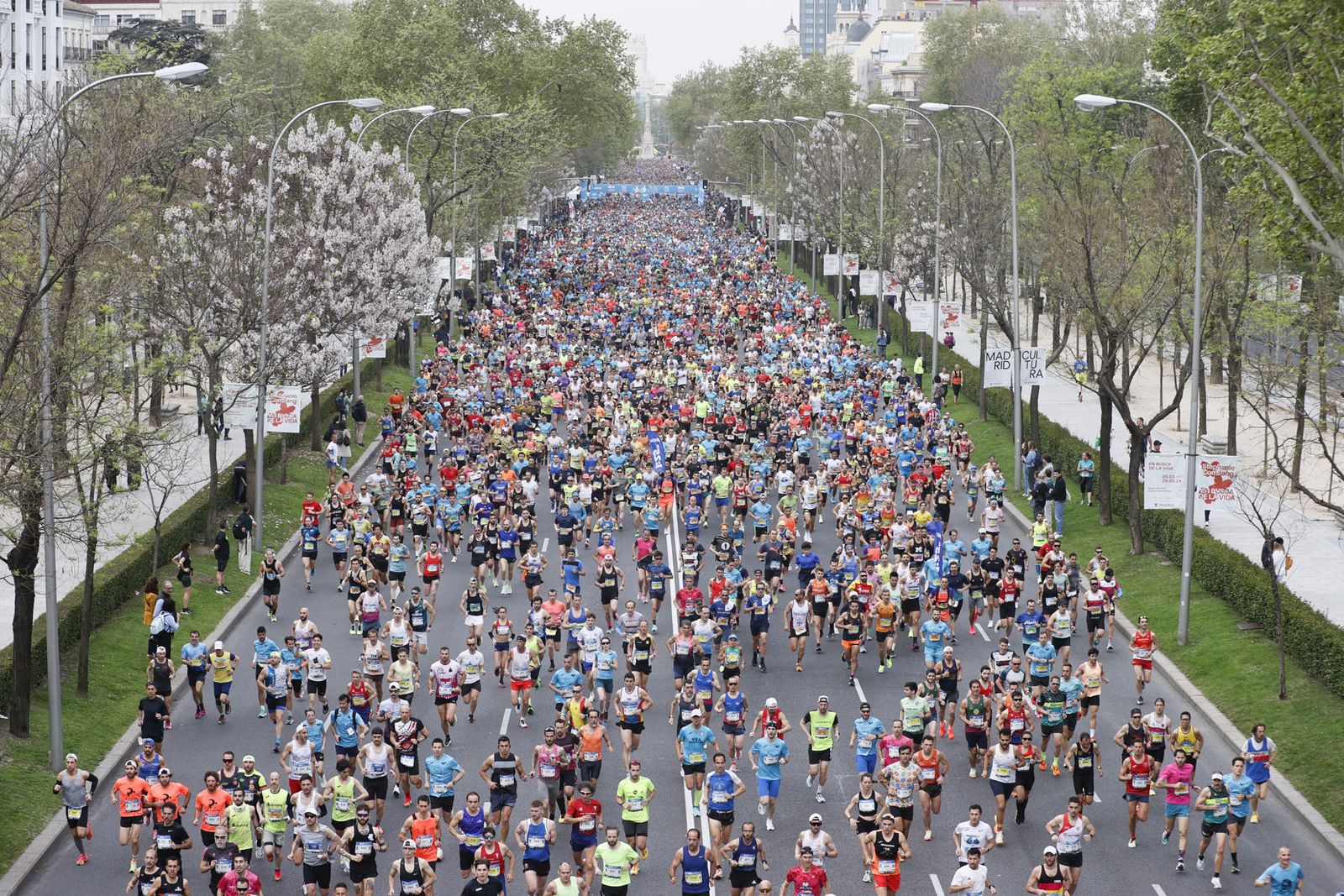 Las mejores imágenes de la Media Maratón de Madrid