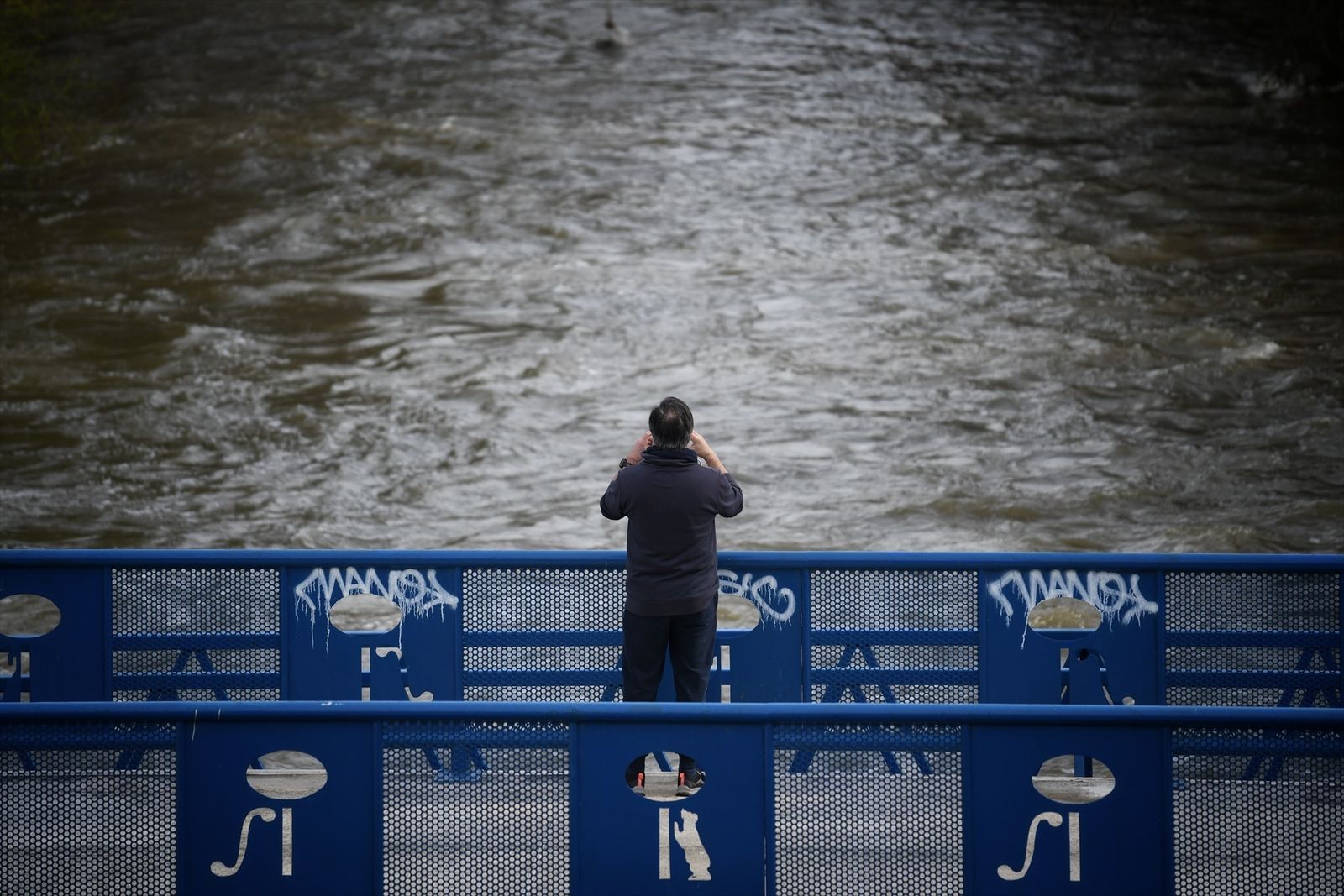 Una persona ante la crecida del río, en el parque lineal del Manzanares
