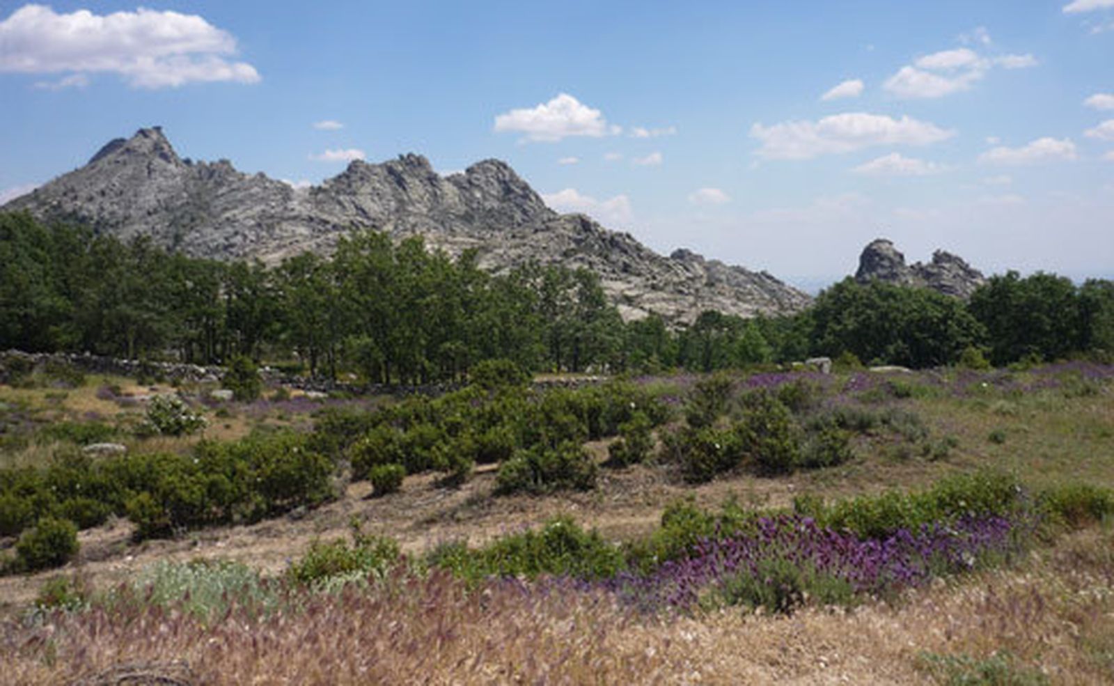 Rescatan a un hombre herido tras caerse en un monte en Buitrago del Lozoya