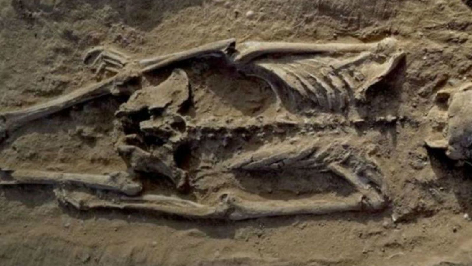 Descubren en Kenia una cueva con restos prehistóricos de hace 78.000 años