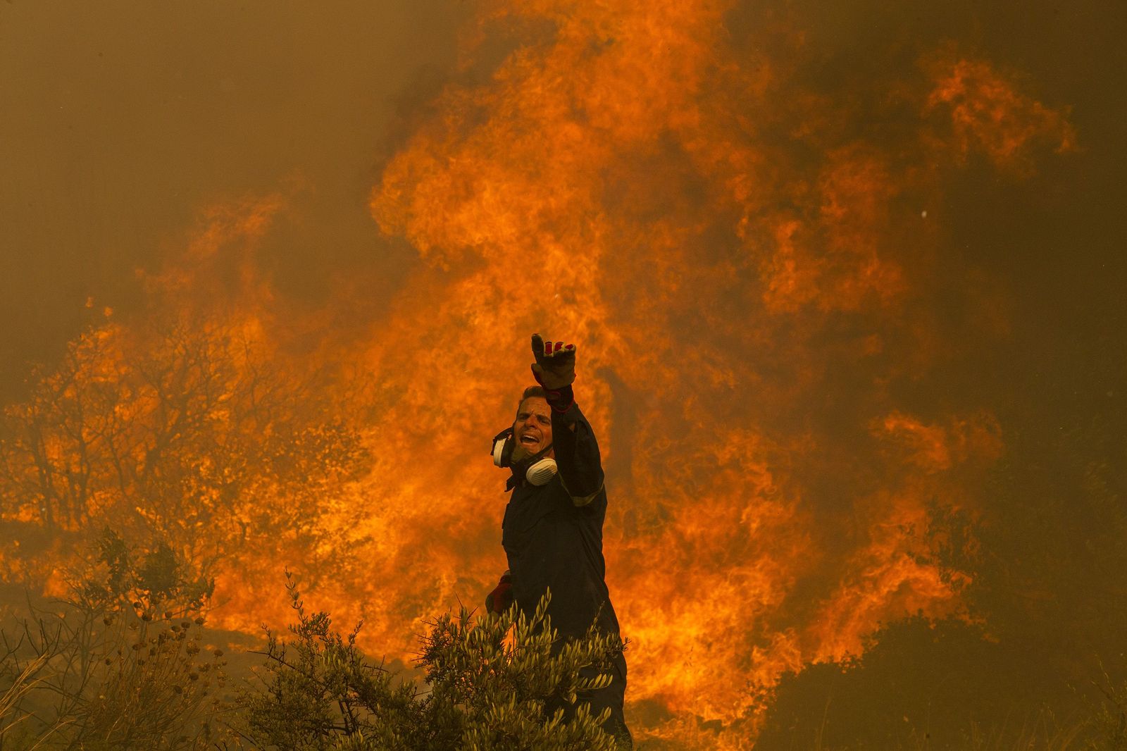 Sigue el alto riesgo de incendios en Grecia, con más de 40.000 hectáreas quemadas ya