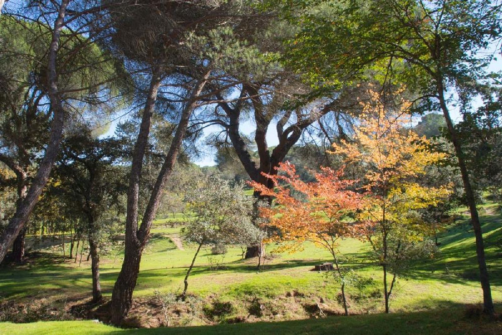 El Monte del Pilar, en el término de Majadahonda