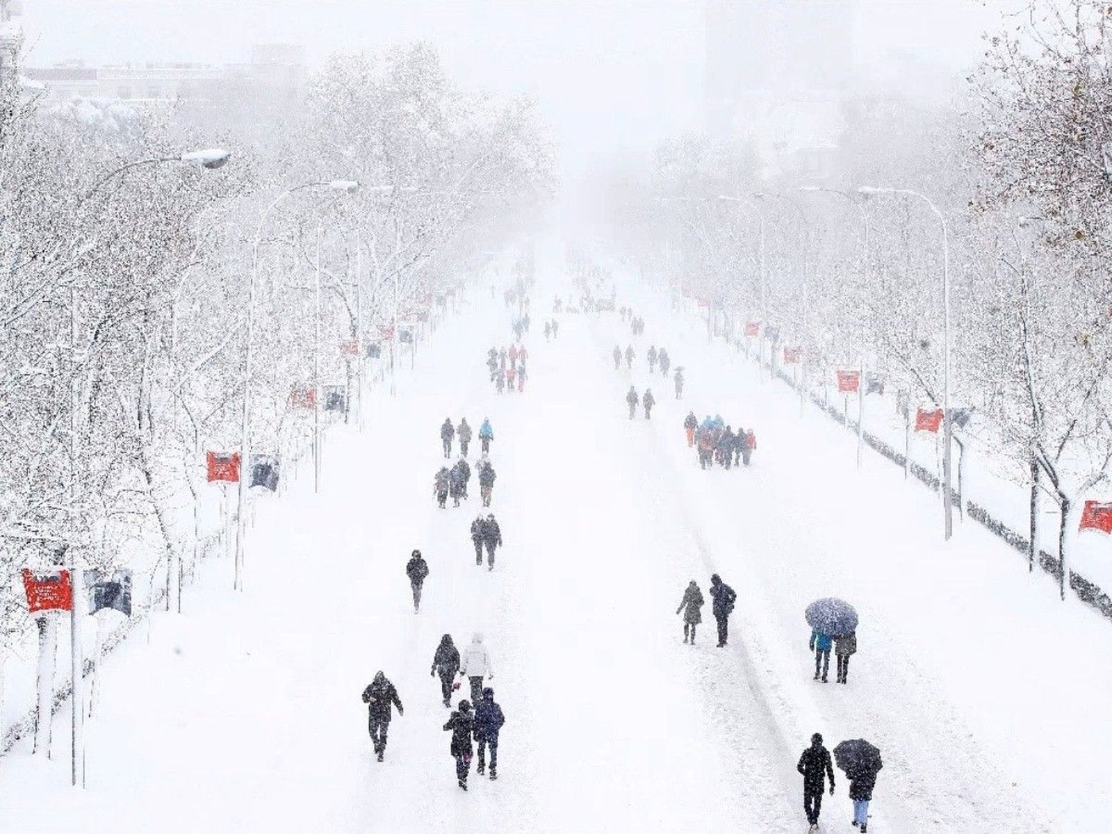 Un año de Filomena, la gran nevada de este siglo en Madrid