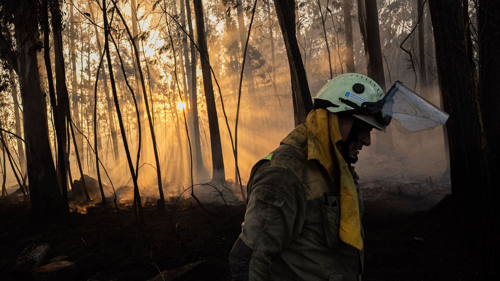 Los expertos alertan de la falta de prevención y la escasez de aviones FOCA en plena campaña de incendios