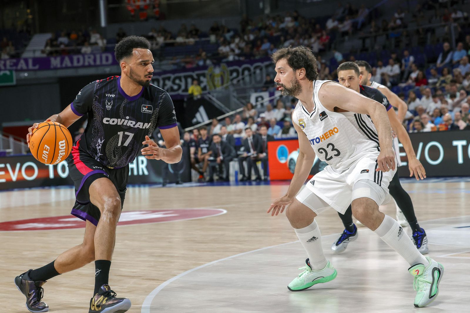 Sergio Llull