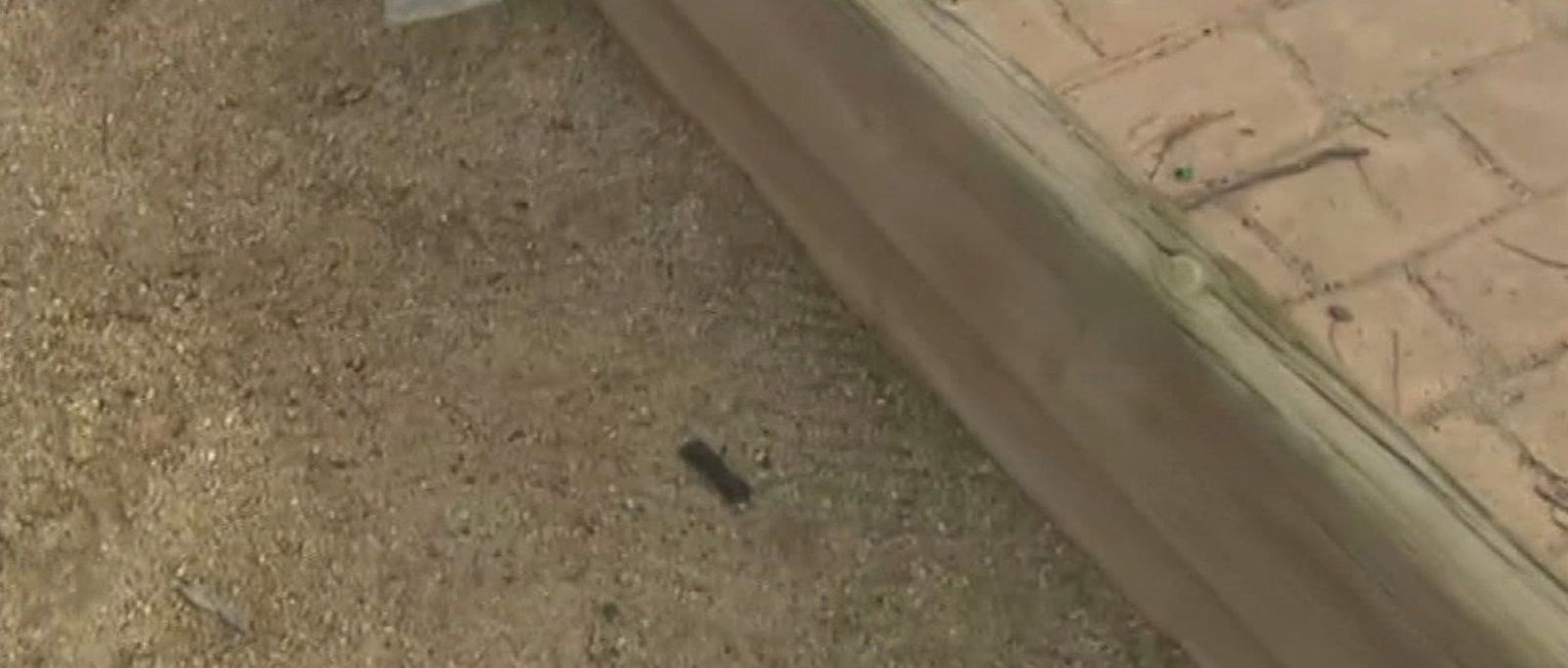 Vecinos de Colmenar denuncian que una pista de petanca está llena de heces de perro