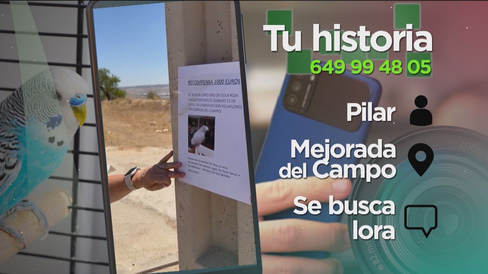 1.000 euros de recompensa a quien encuentre a Dina, perdida en Mejorada del Campo