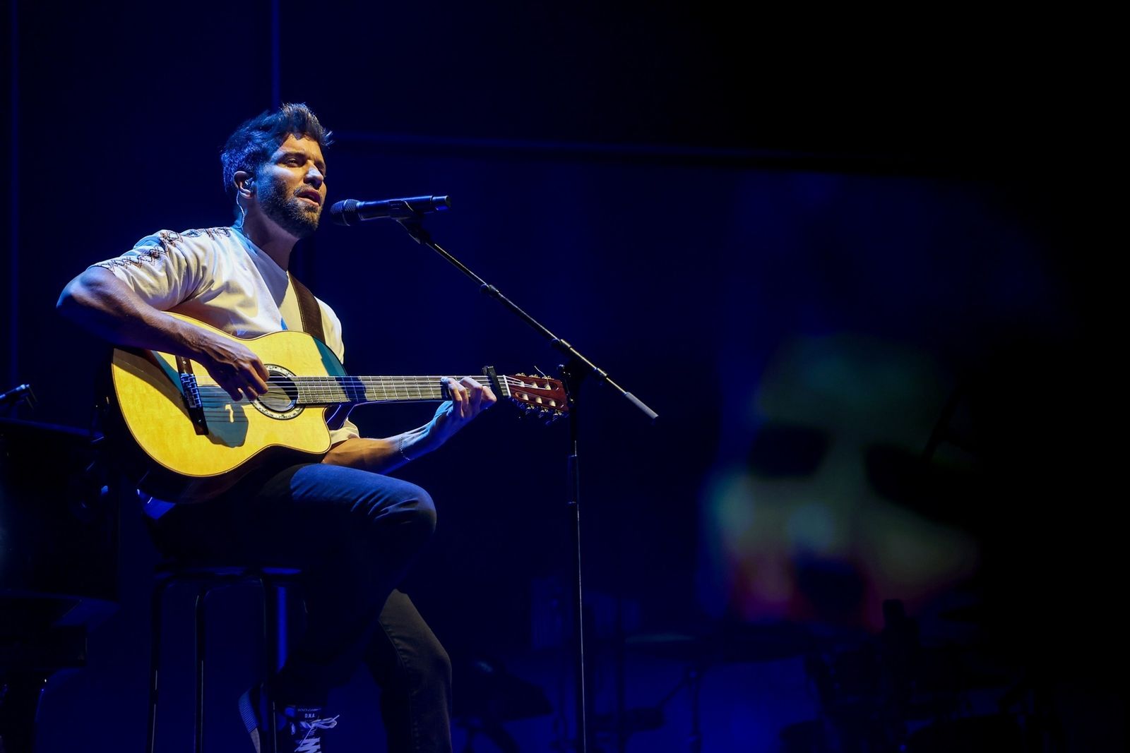 Pablo Alborán en Noches del Botánico