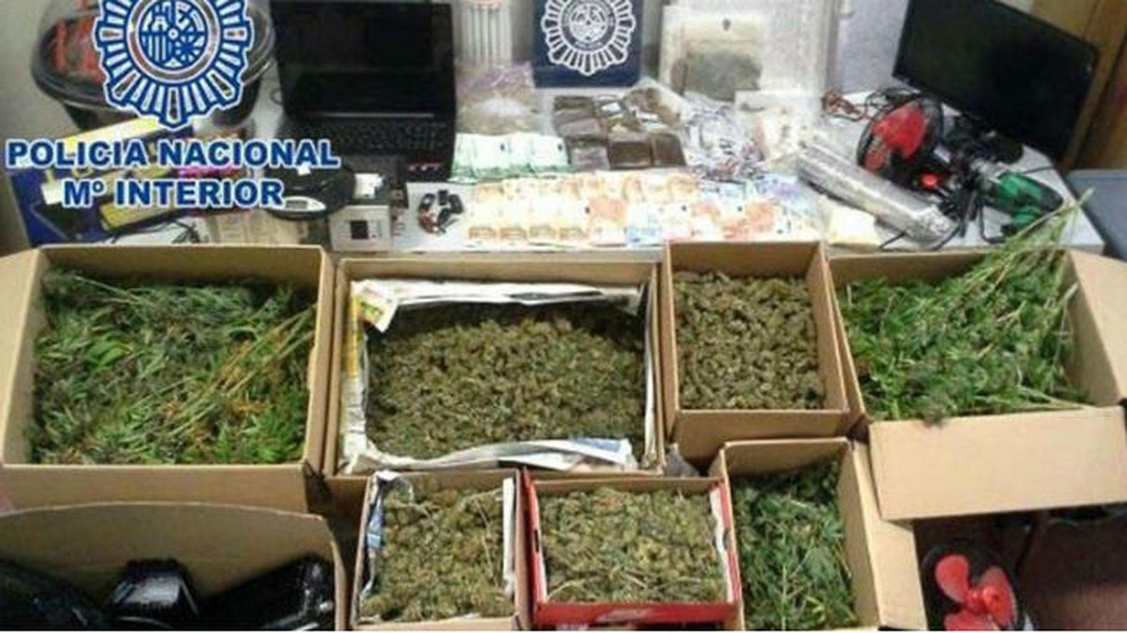 Marihuana y hachís incautada en un club de fumadores