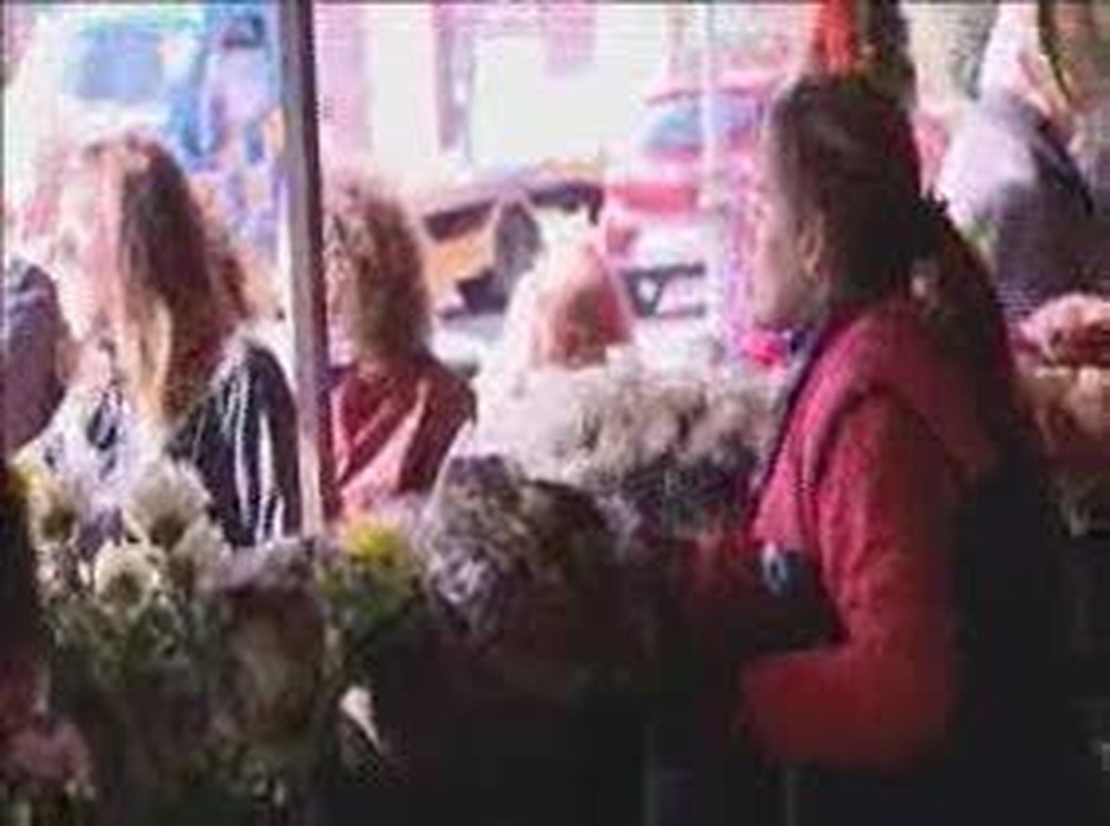 Cementerioshoy_20101031V0.wmv
