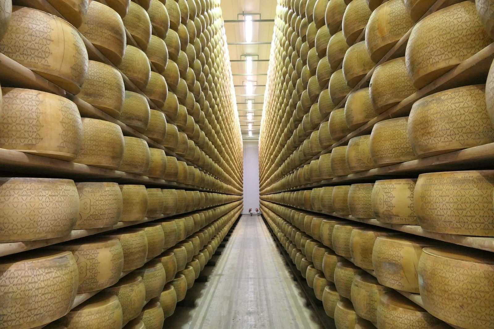 Almacén de queso Grana Padano