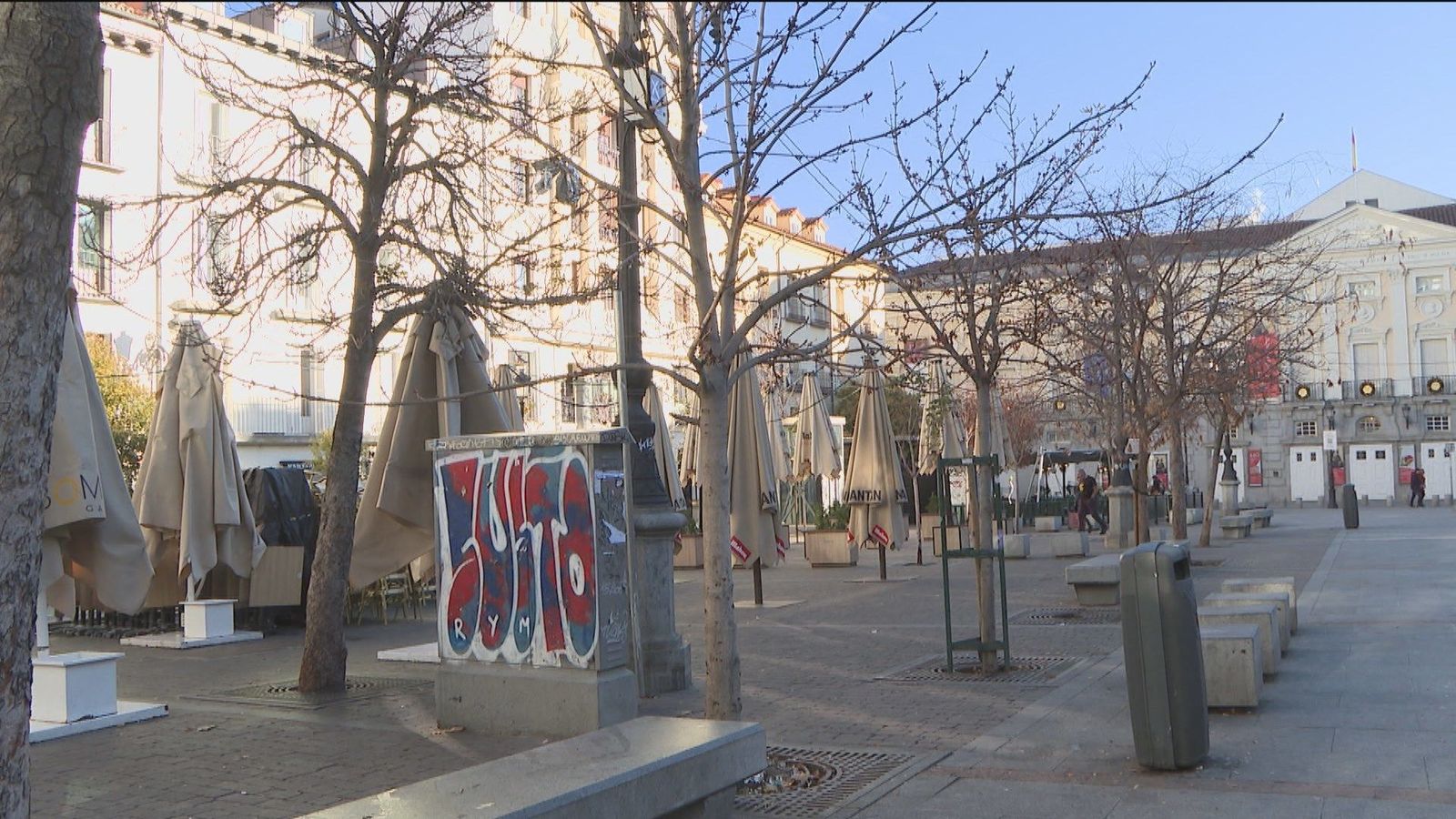 El Ayuntamiento de Madrid tumbará más de la mitad de los árboles de la plaza de Santa Ana