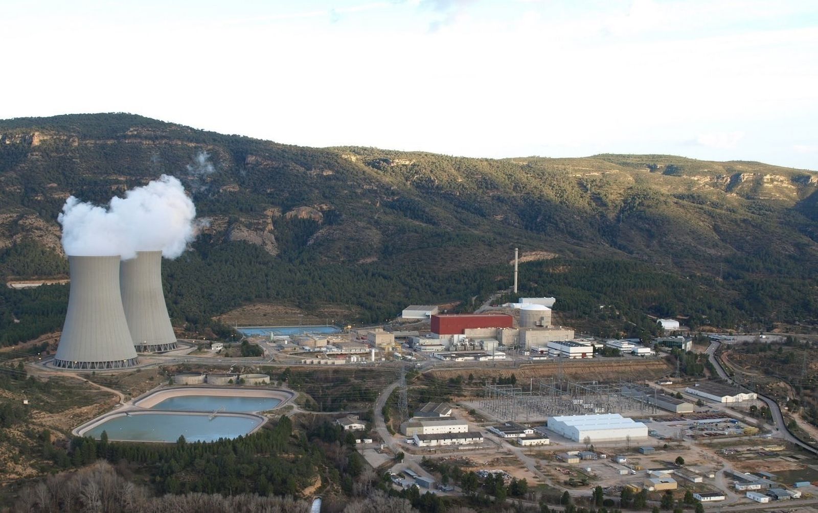 Central nuclear