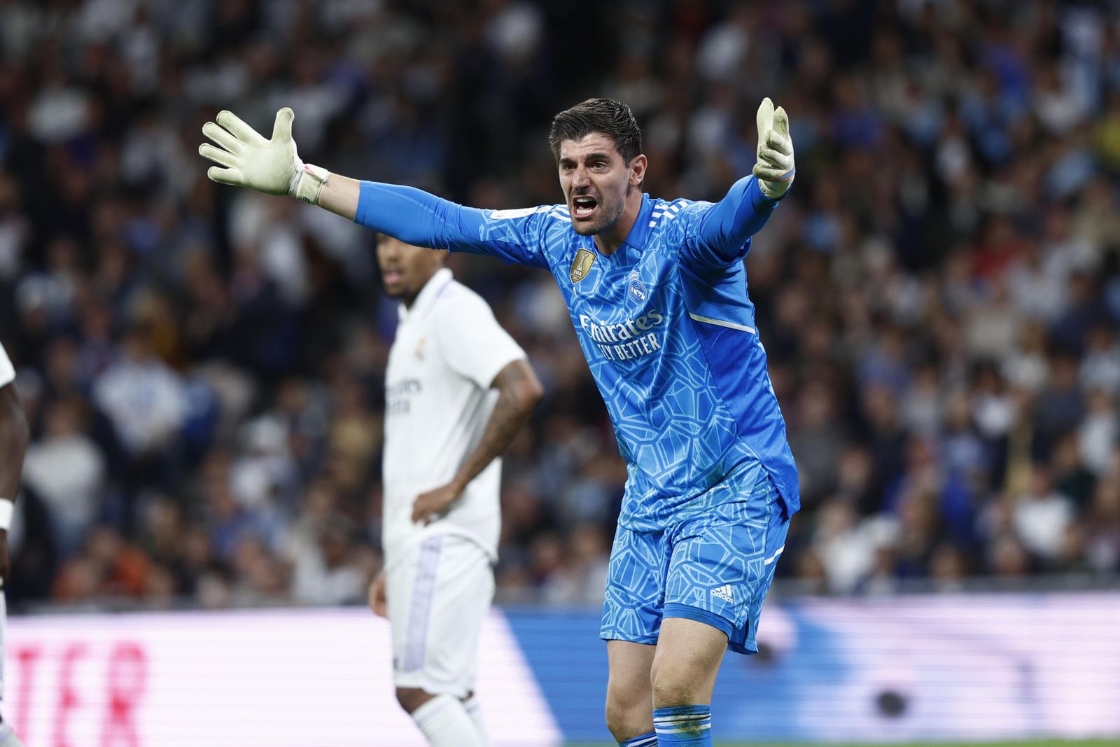 Courtois