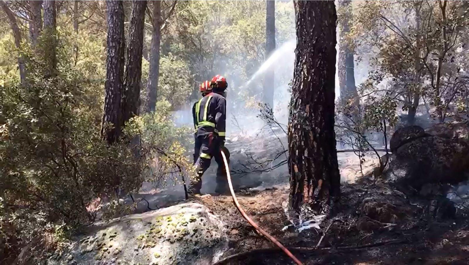 Incendio pantano de San Juan