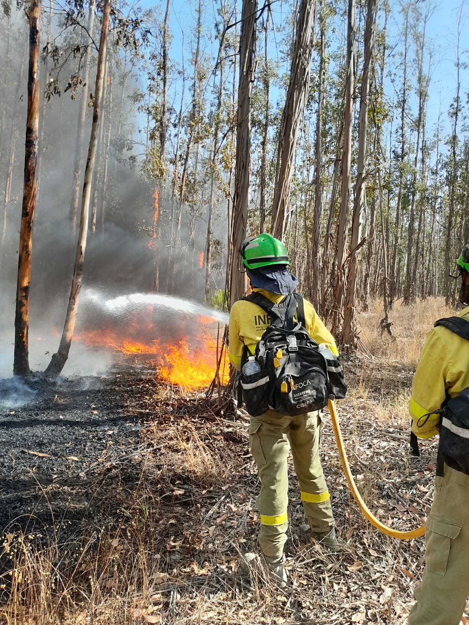 Efectivos del plan andaluz contra incendios Infoca